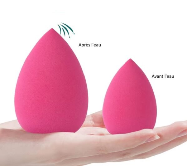 Beauty blender avant est apres l'eau